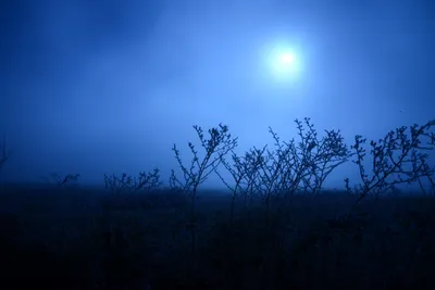 DSC_1052 (Large).JPG